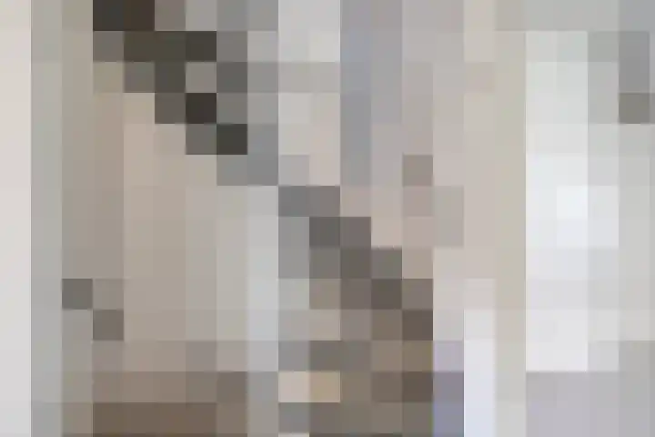 Werflaan 79 Zoetermeer thumbnail 31