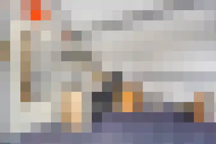 Werflaan 79 Zoetermeer thumbnail 35