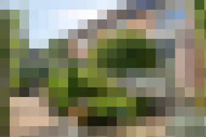 Werflaan 79 Zoetermeer thumbnail 36