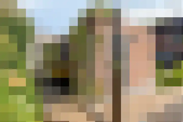 Werflaan 79 Zoetermeer thumbnail 37