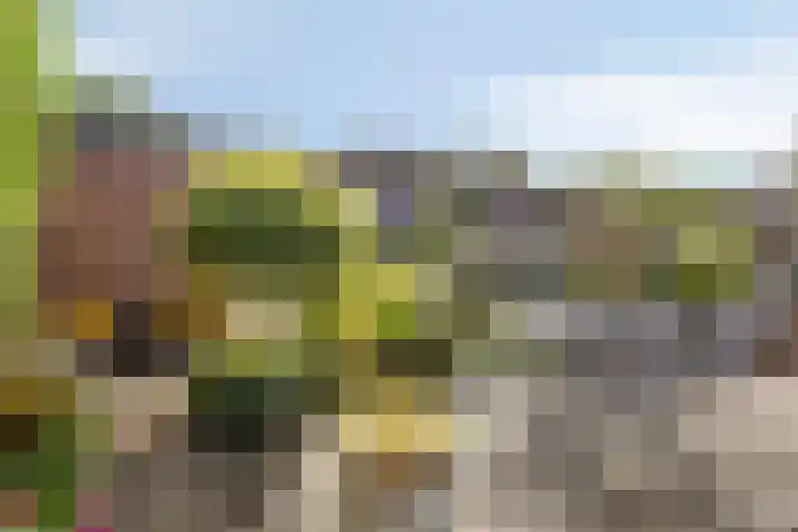 Werflaan 79 Zoetermeer thumbnail 4