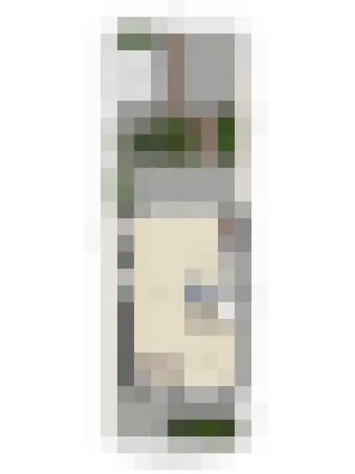 Werflaan 79 Zoetermeer thumbnail 48