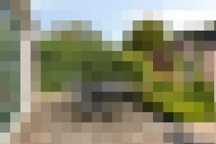 Werflaan 79 Zoetermeer thumbnail 5