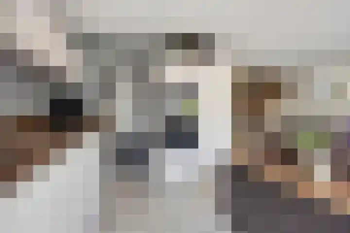 Werflaan 79 Zoetermeer thumbnail 8