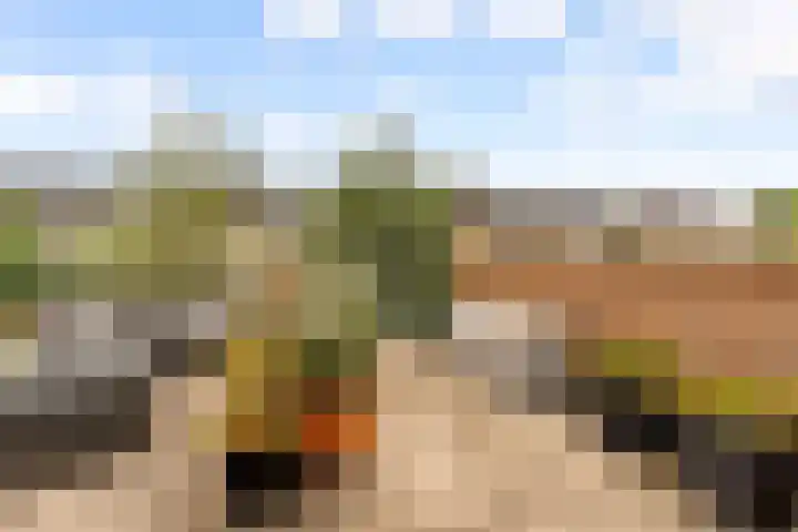 Werfsteeg 8 Utrecht thumbnail 17