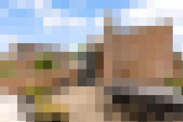 Werfsteeg 8 Utrecht thumbnail 20