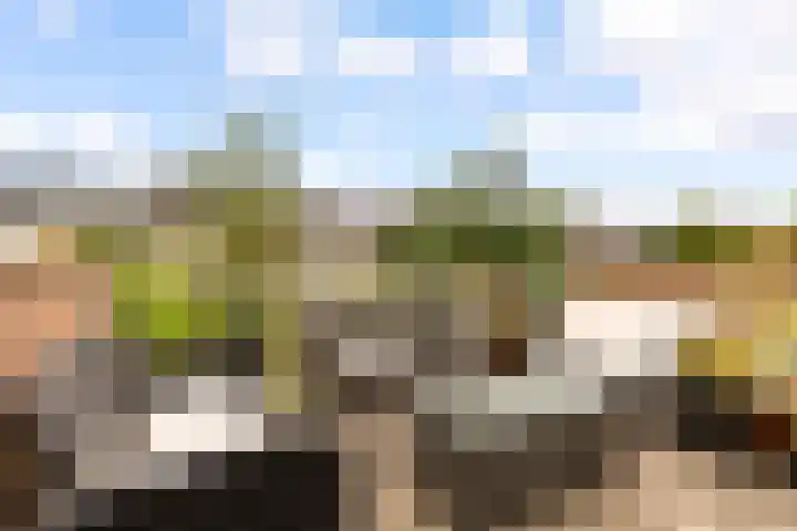 Werfsteeg 8 Utrecht thumbnail 21