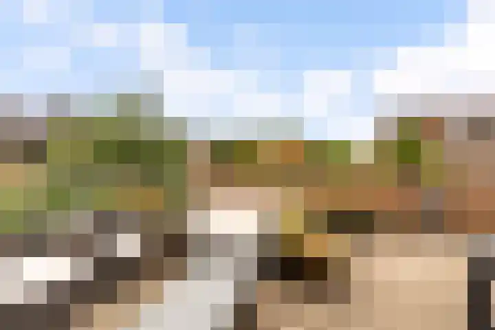 Werfsteeg 8 Utrecht thumbnail 22