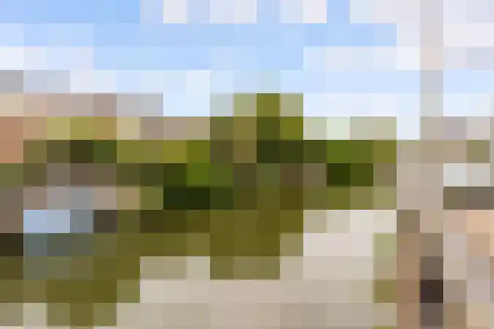 Werfsteeg 8 Utrecht thumbnail 23