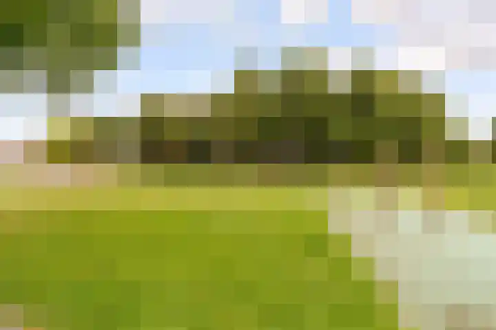 Werfsteeg 8 Utrecht thumbnail 28