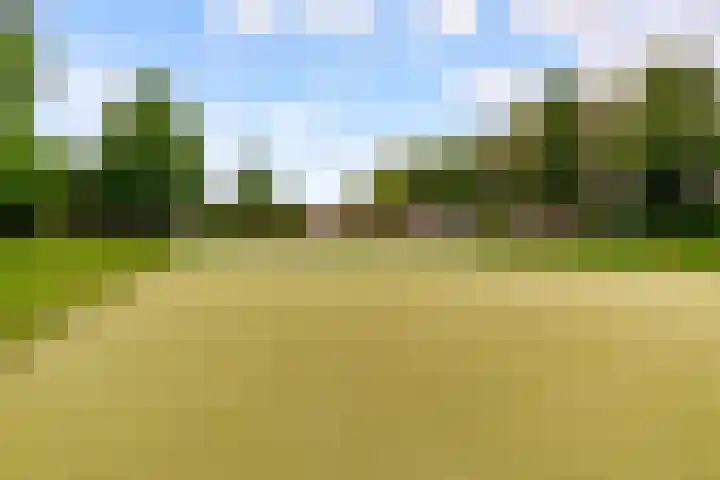 Werfsteeg 8 Utrecht thumbnail 29