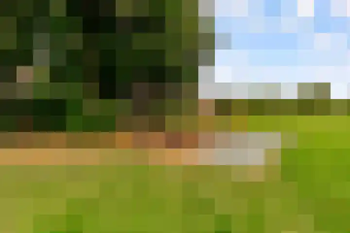 Werfsteeg 8 Utrecht thumbnail 30