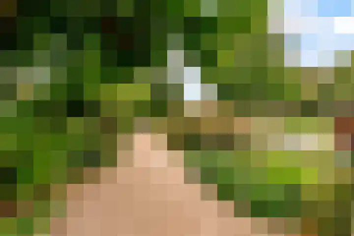 Werfsteeg 8 Utrecht thumbnail 31