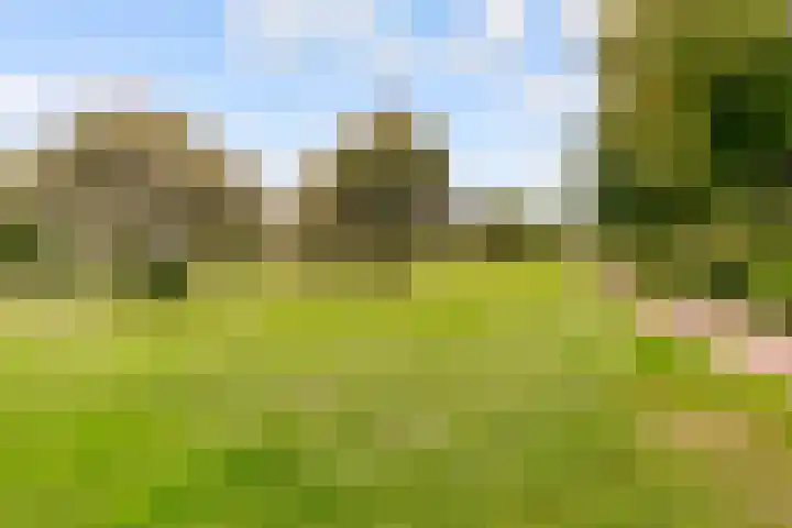 Werfsteeg 8 Utrecht thumbnail 32