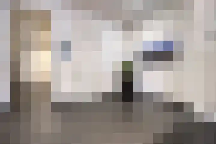 Werfstraat 14 Haarlem thumbnail 5