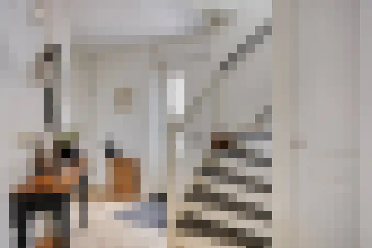 Werfstraat 14 Wieringerwerf thumbnail 10