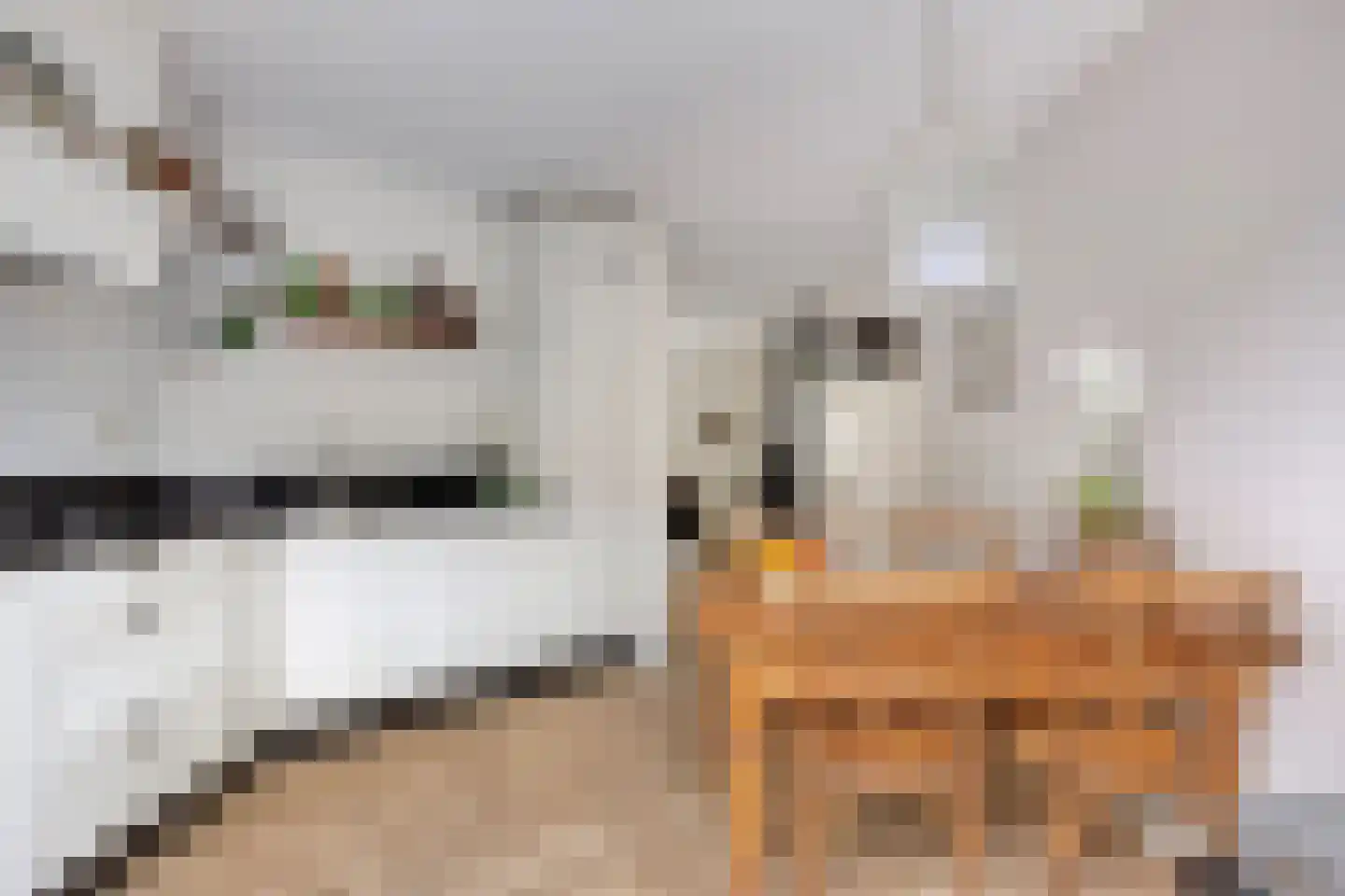 Werfstraat 14 Wieringerwerf thumbnail 21