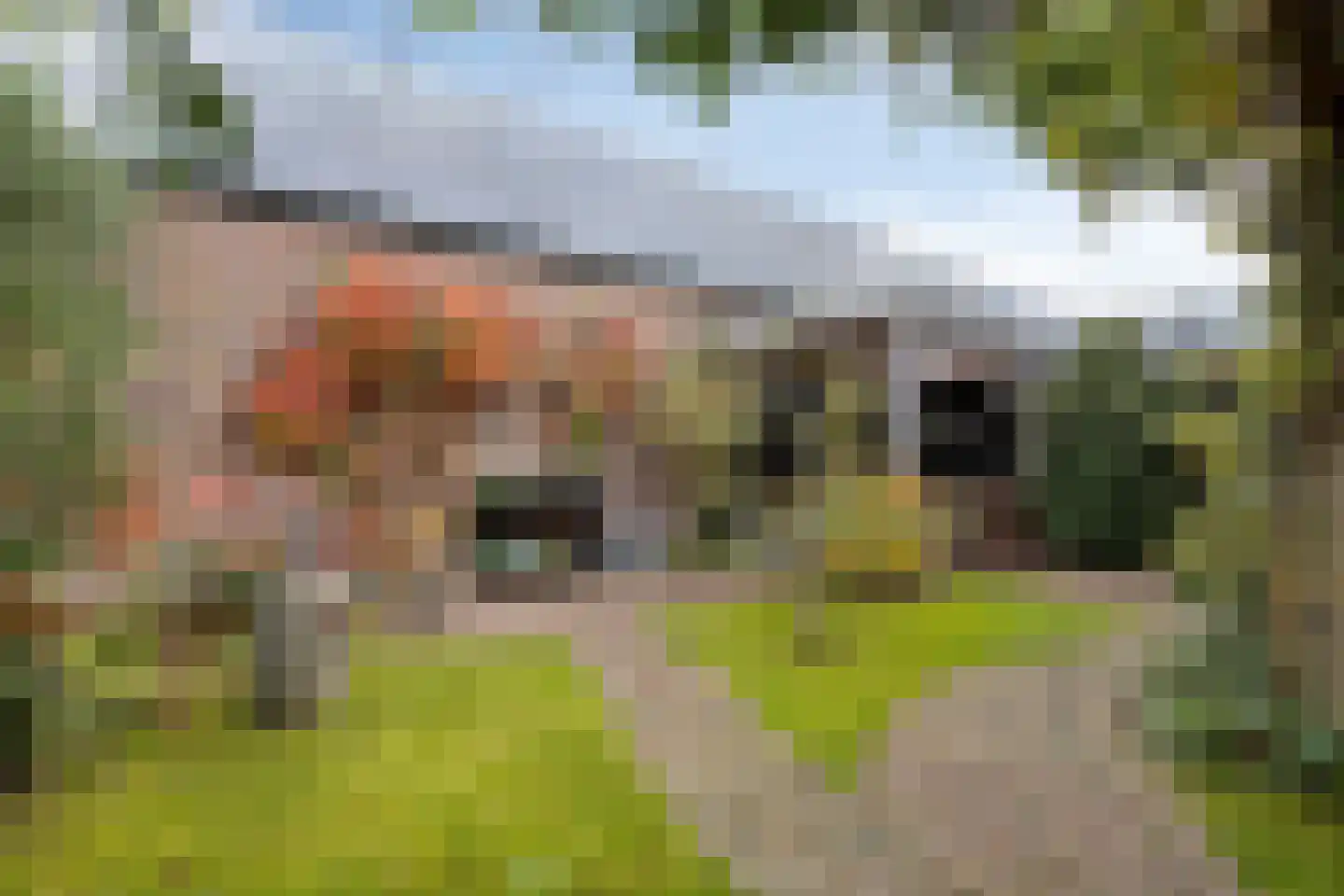 Werfstraat 14 Wieringerwerf thumbnail 39