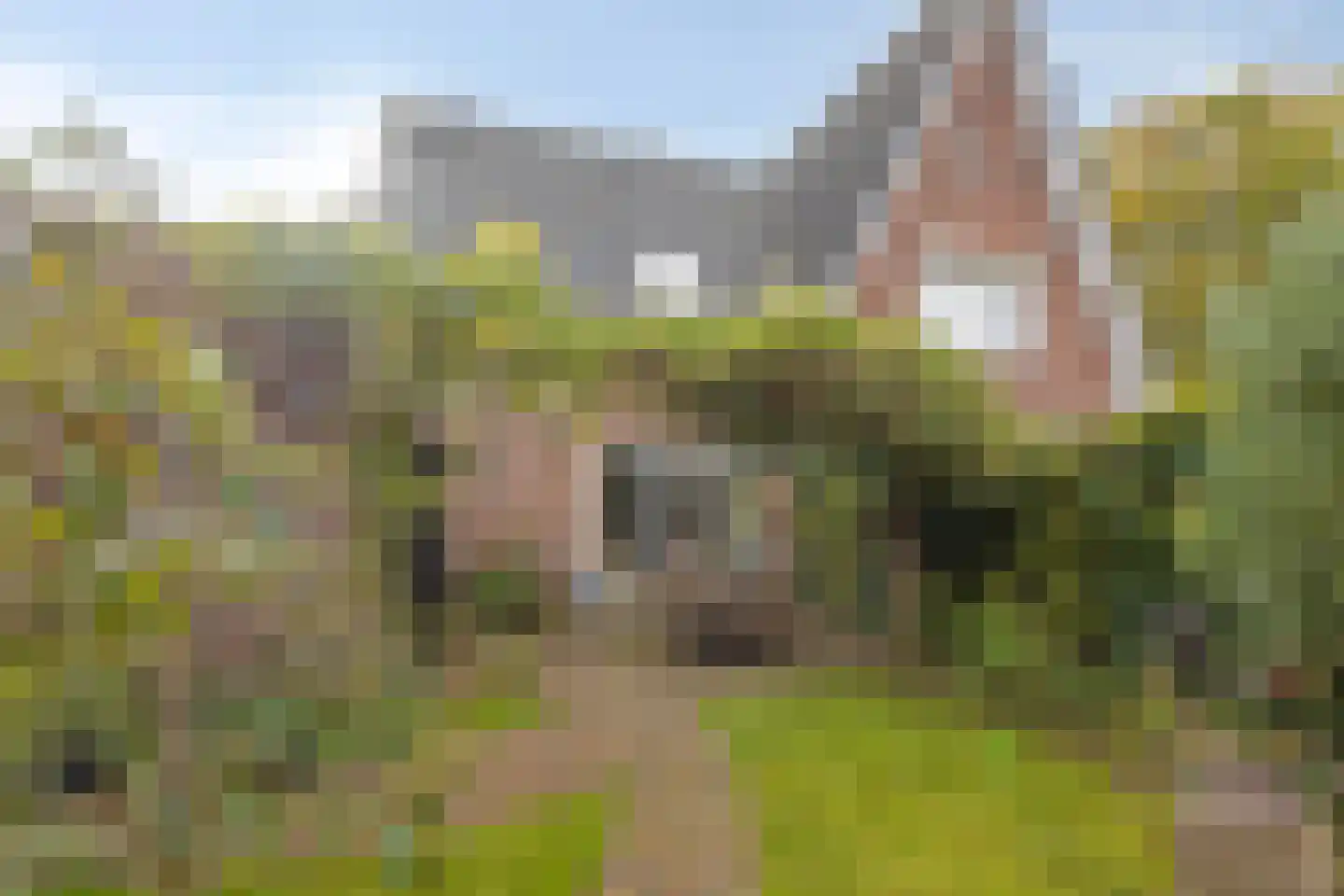 Werfstraat 14 Wieringerwerf thumbnail 4