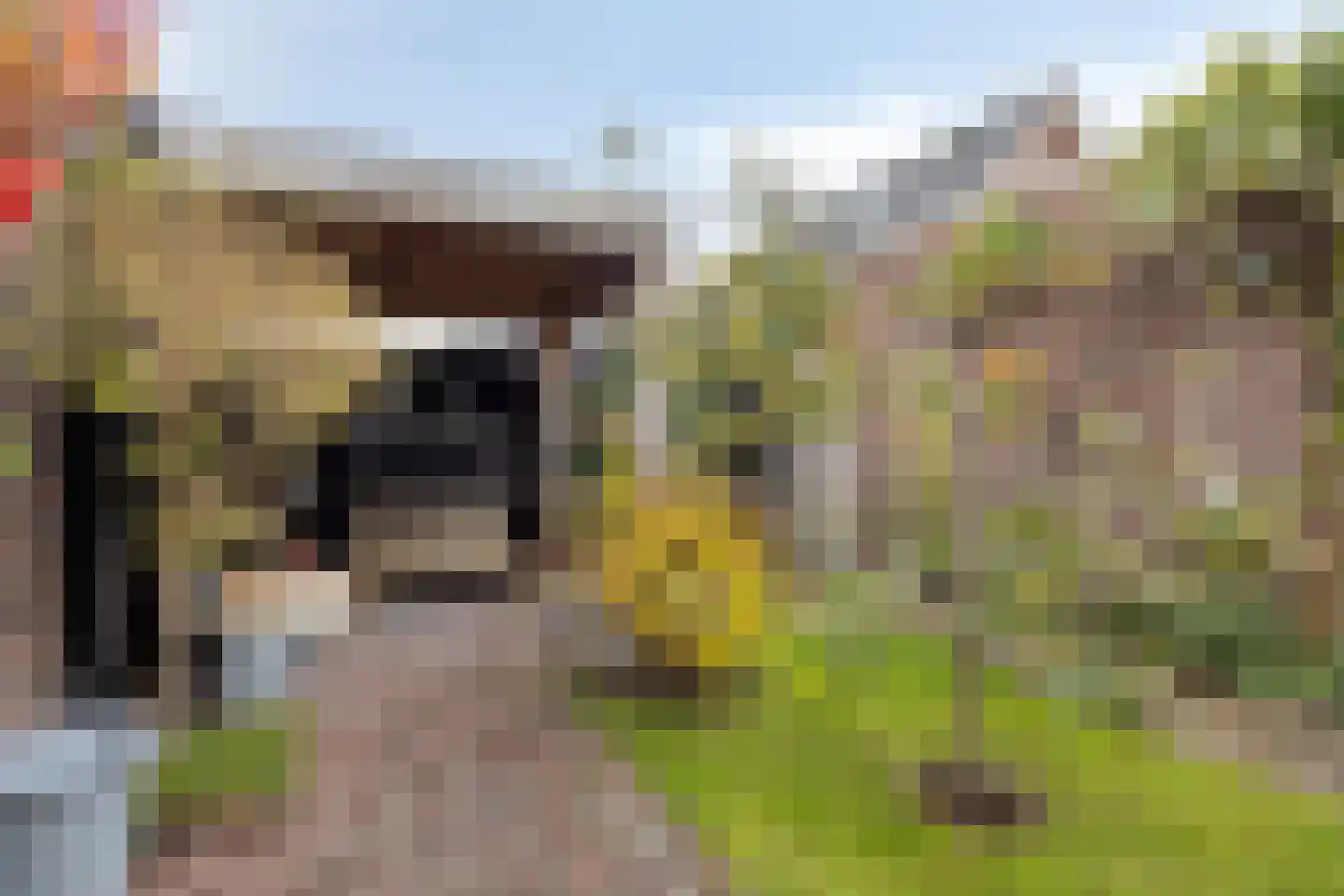 Werfstraat 14 Wieringerwerf thumbnail 40