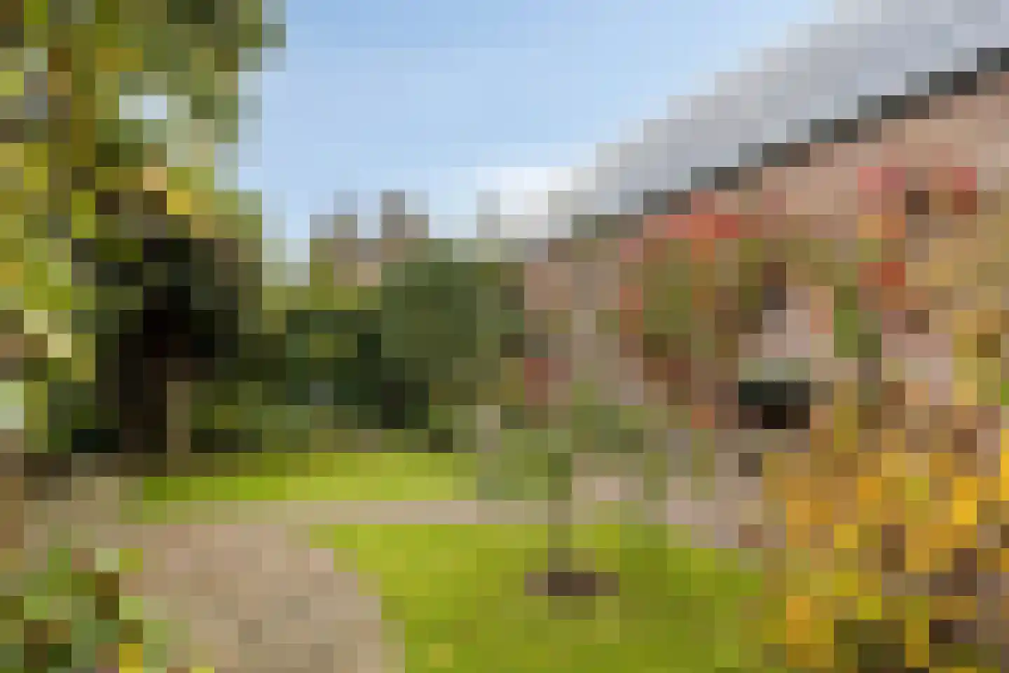 Werfstraat 14 Wieringerwerf thumbnail 42