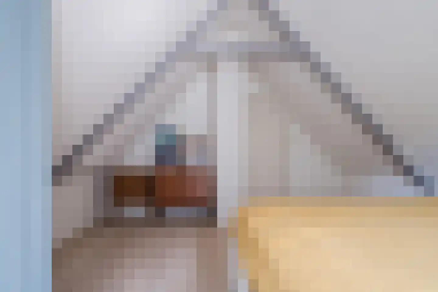 Werfstraat 15 Noord-Scharwoude thumbnail 27