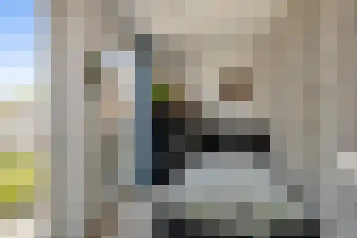 Werfstraat 16 Den Helder thumbnail 16