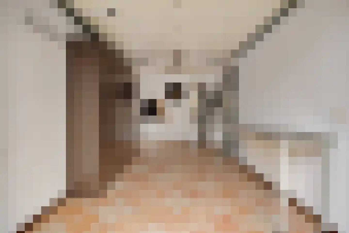 Werfstraat 20 Wieringerwerf thumbnail 19