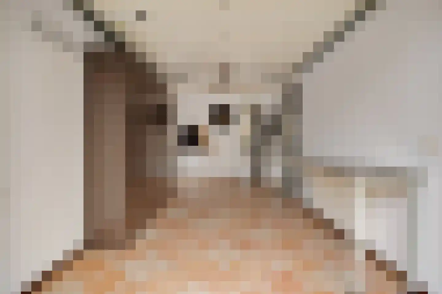 Werfstraat 20 Wieringerwerf thumbnail 22