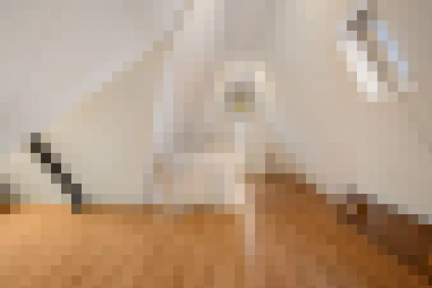 Werfstraat 20 Wieringerwerf thumbnail 35