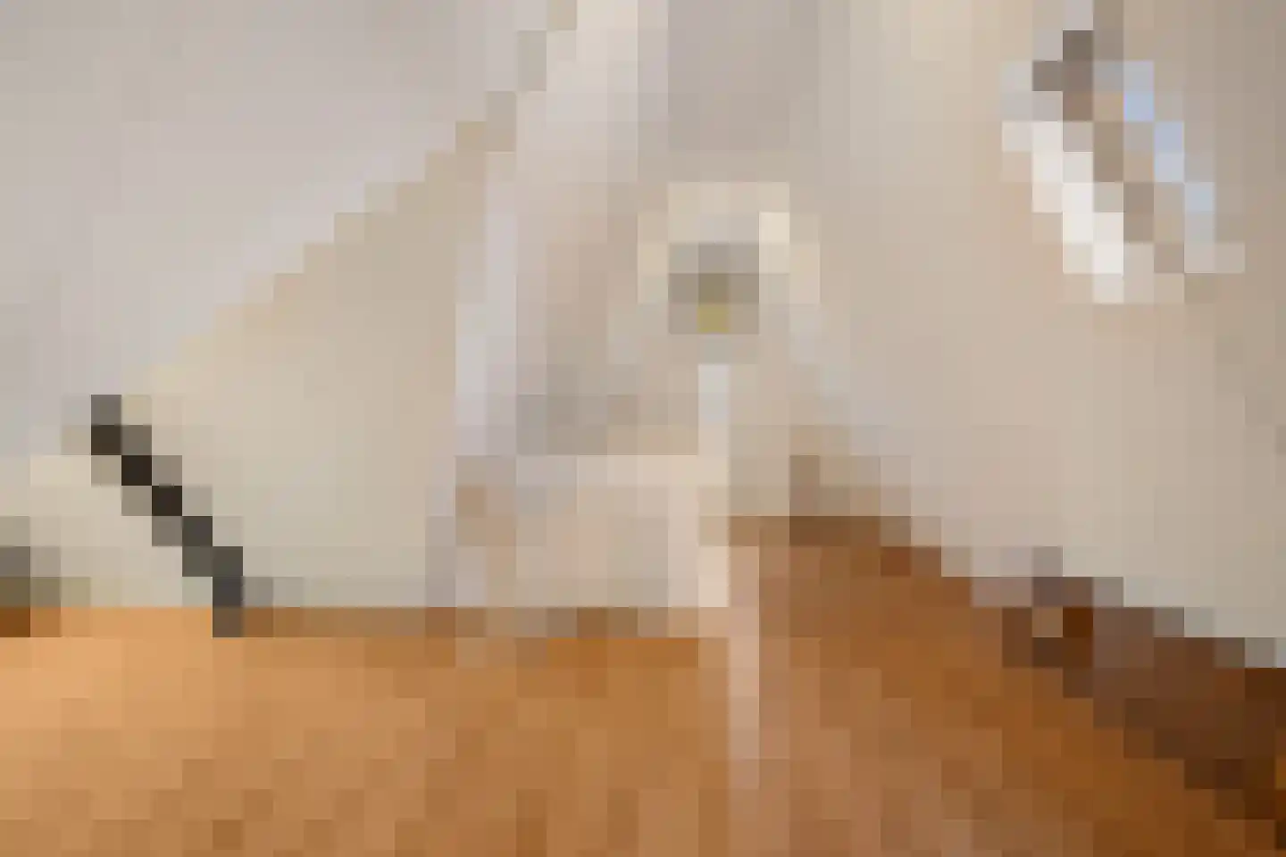 Werfstraat 20 Wieringerwerf thumbnail 38