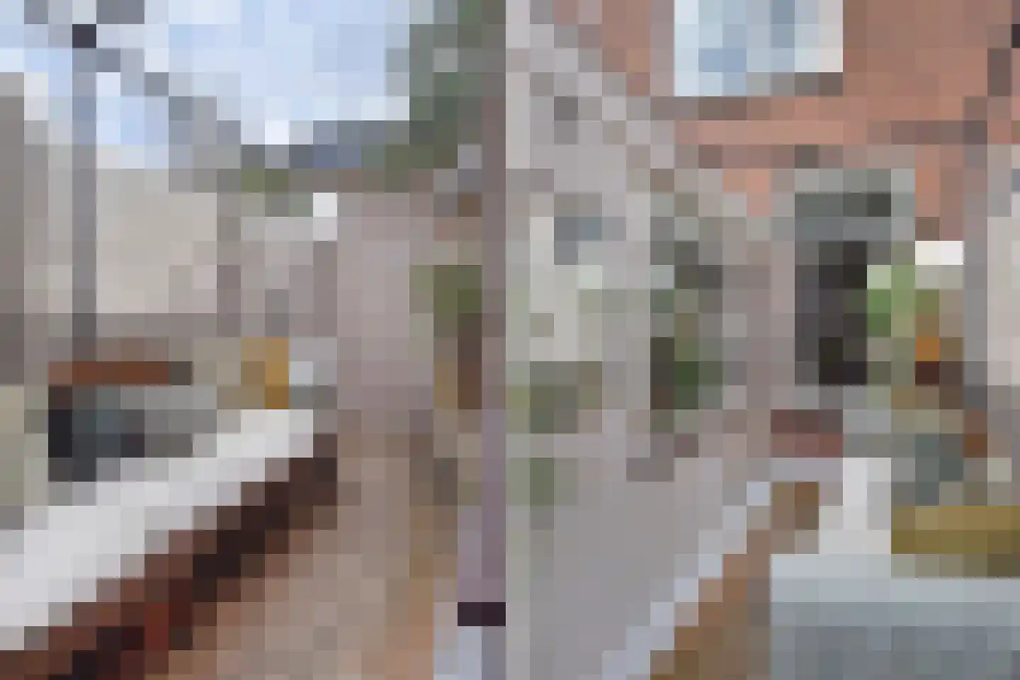 Werfstraat 219 Den Haag thumbnail 4