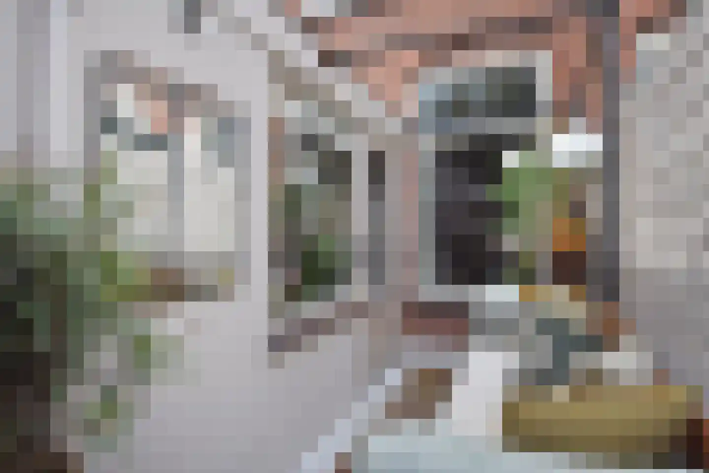 Werfstraat 219 Den Haag thumbnail 5