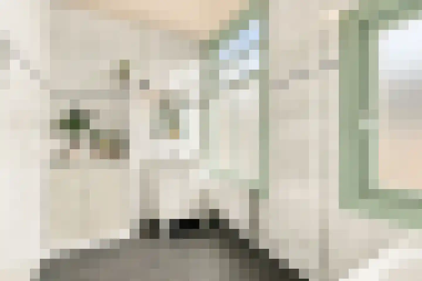 Werfstraat 255 Den Haag thumbnail 32