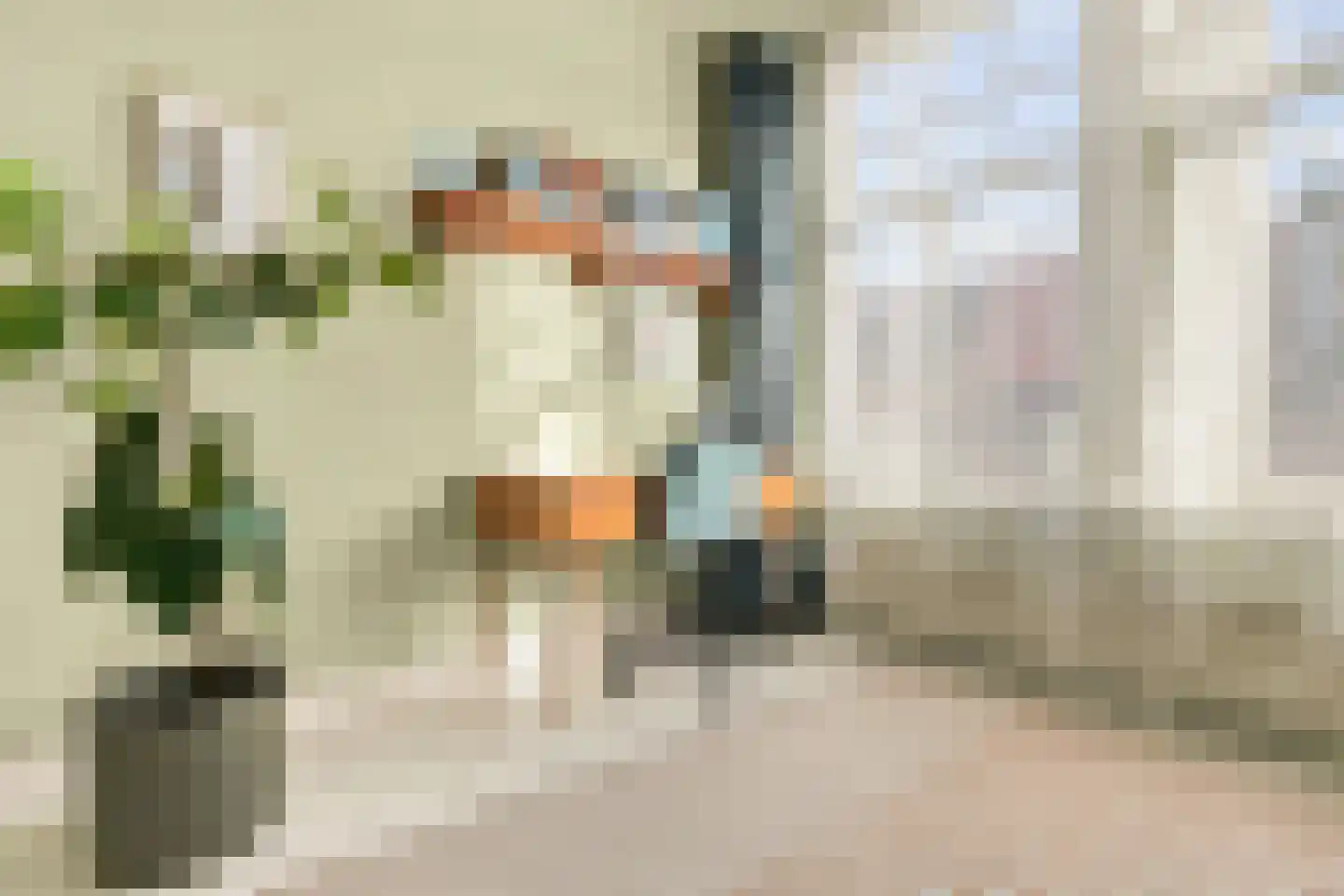 Werfstraat 255 Den Haag thumbnail 35