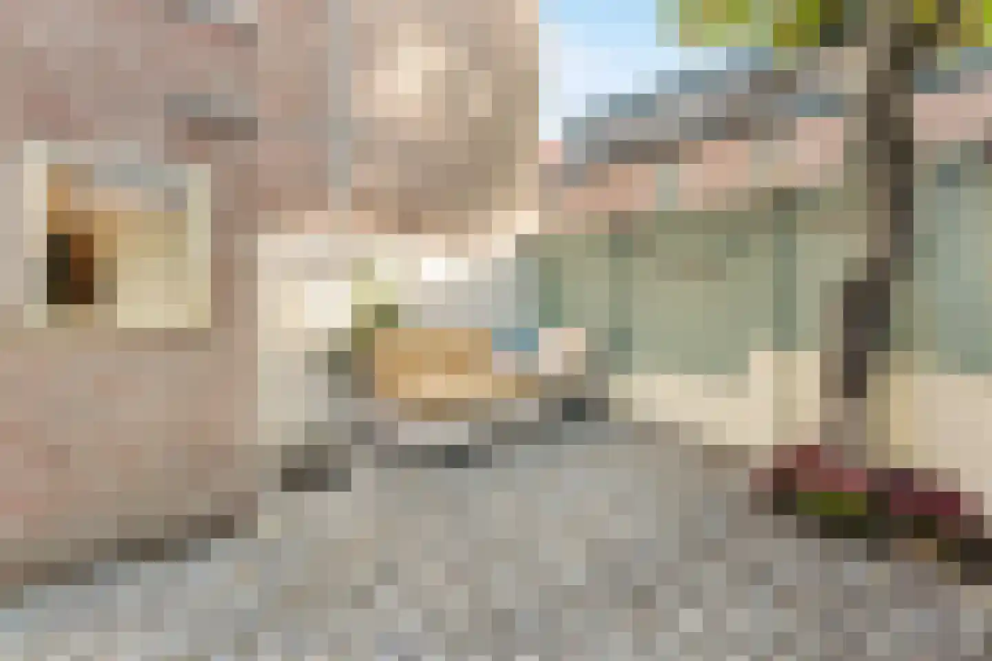 Werfstraat 255 Den Haag thumbnail 5