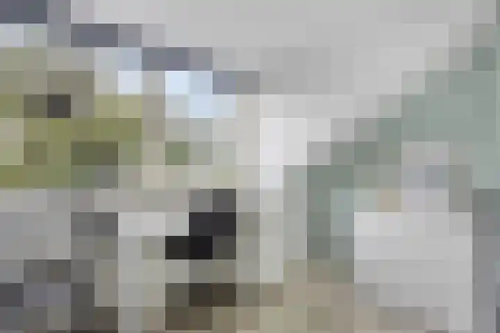 Werfstraat 29 Wieringerwerf thumbnail 31