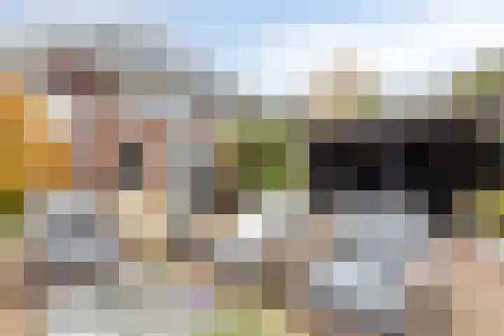 Werfstraat 29 Wieringerwerf thumbnail 43