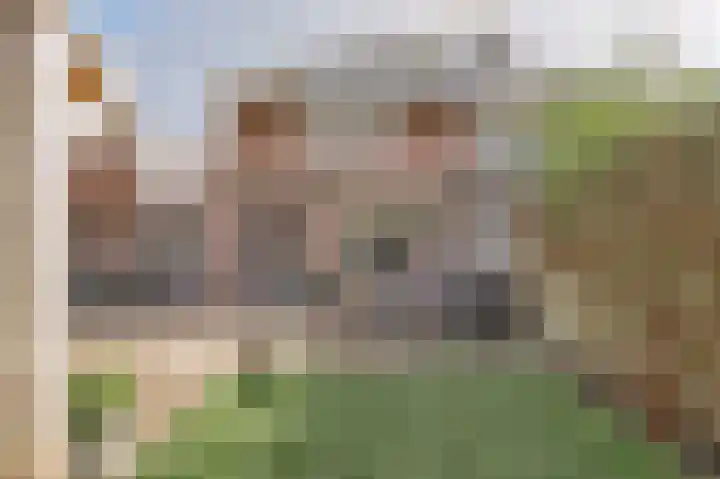 Werfstraat 37 Wieringerwerf thumbnail 107