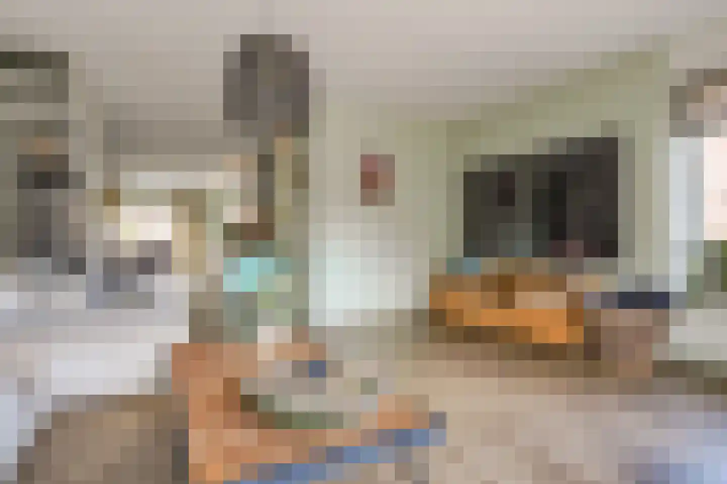 Werfstraat 37 Wieringerwerf thumbnail 14