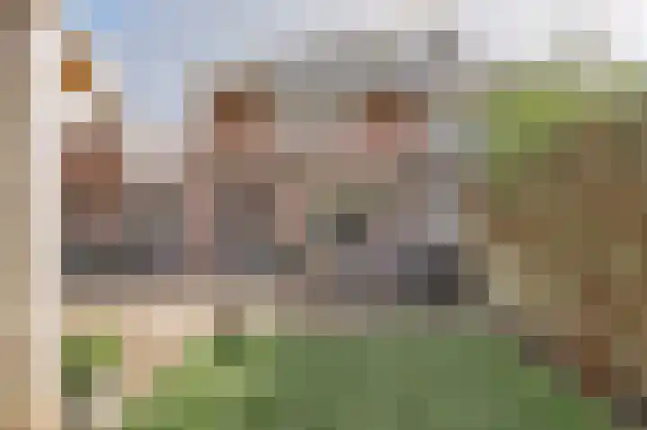 Werfstraat 37 Wieringerwerf thumbnail 44