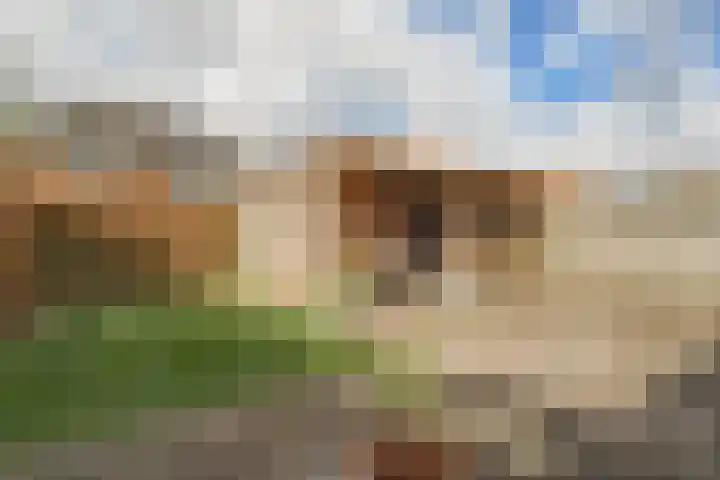 Werfstraat 37 Wieringerwerf thumbnail 45