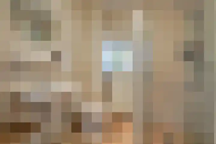 Werfstraat 37 Wieringerwerf thumbnail 98