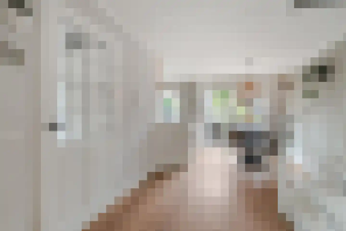 Werfstraat 39 Wieringerwerf thumbnail 14