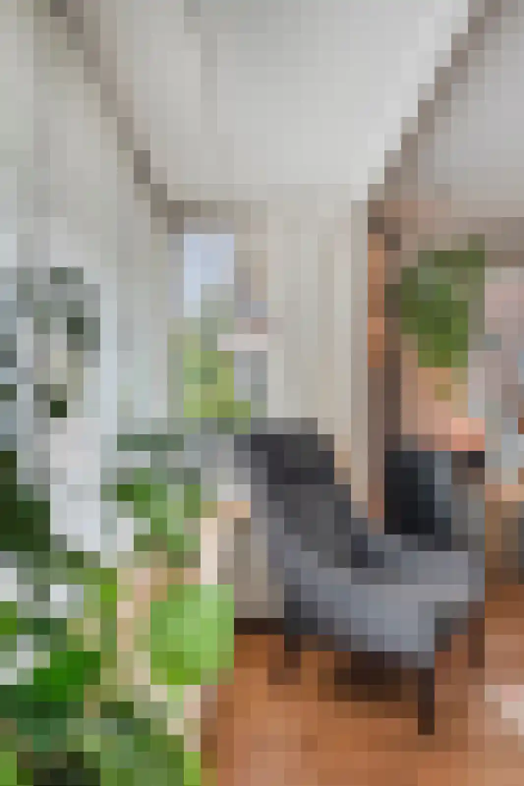 Werfstraat 39 Wieringerwerf thumbnail 26
