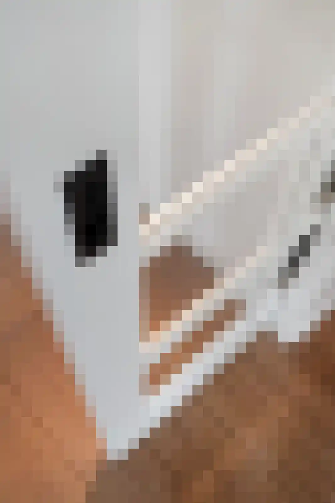 Werfstraat 39 Wieringerwerf thumbnail 35