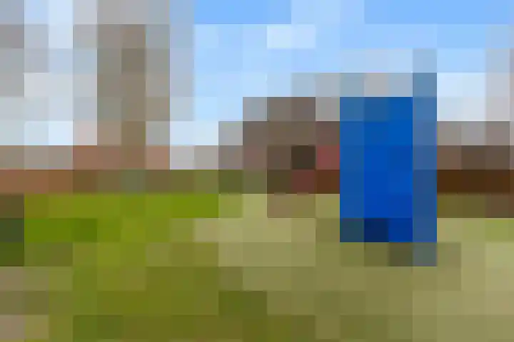 Werfstraat 4 b Wieringerwerf thumbnail 22