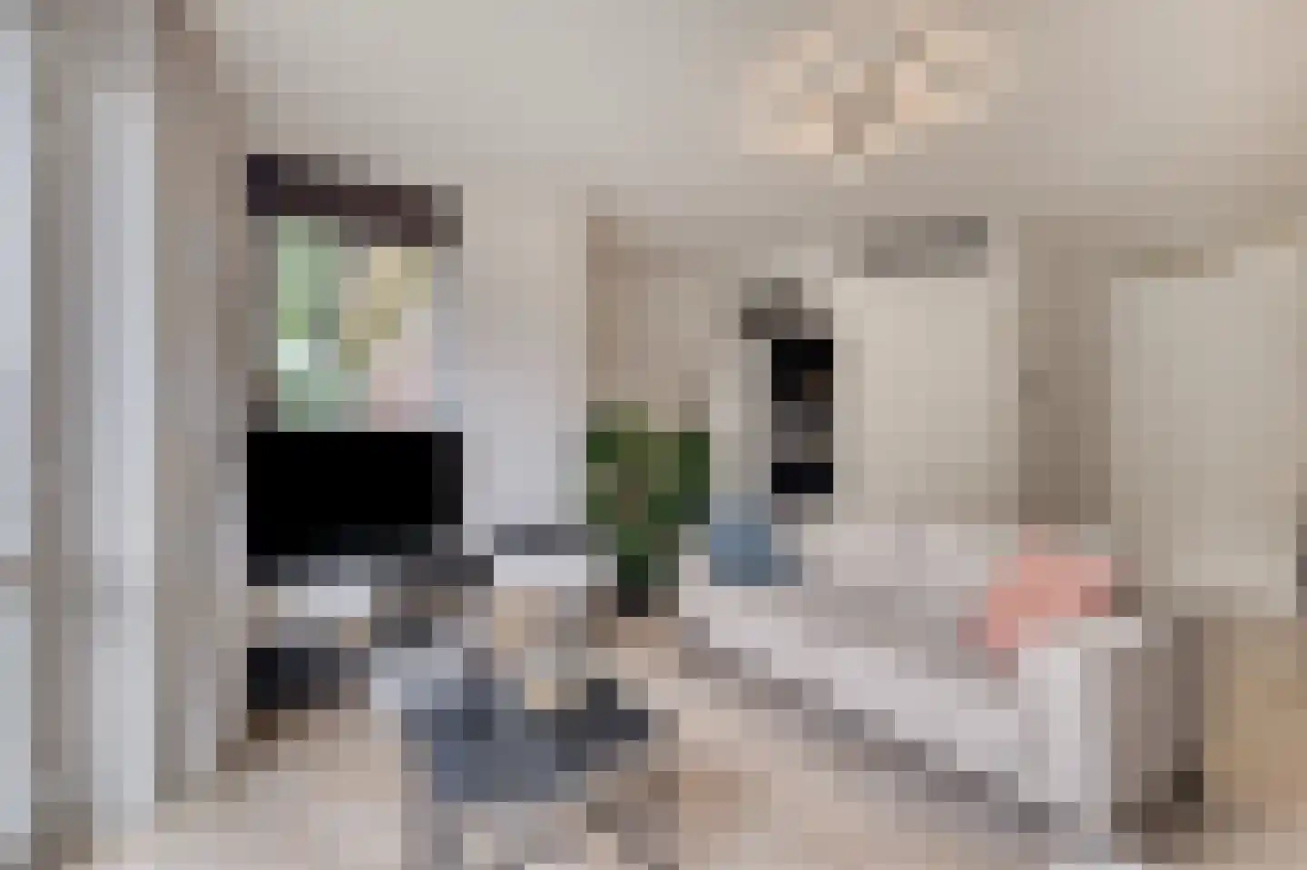 Werfstraat 4 g Wieringerwerf thumbnail 14
