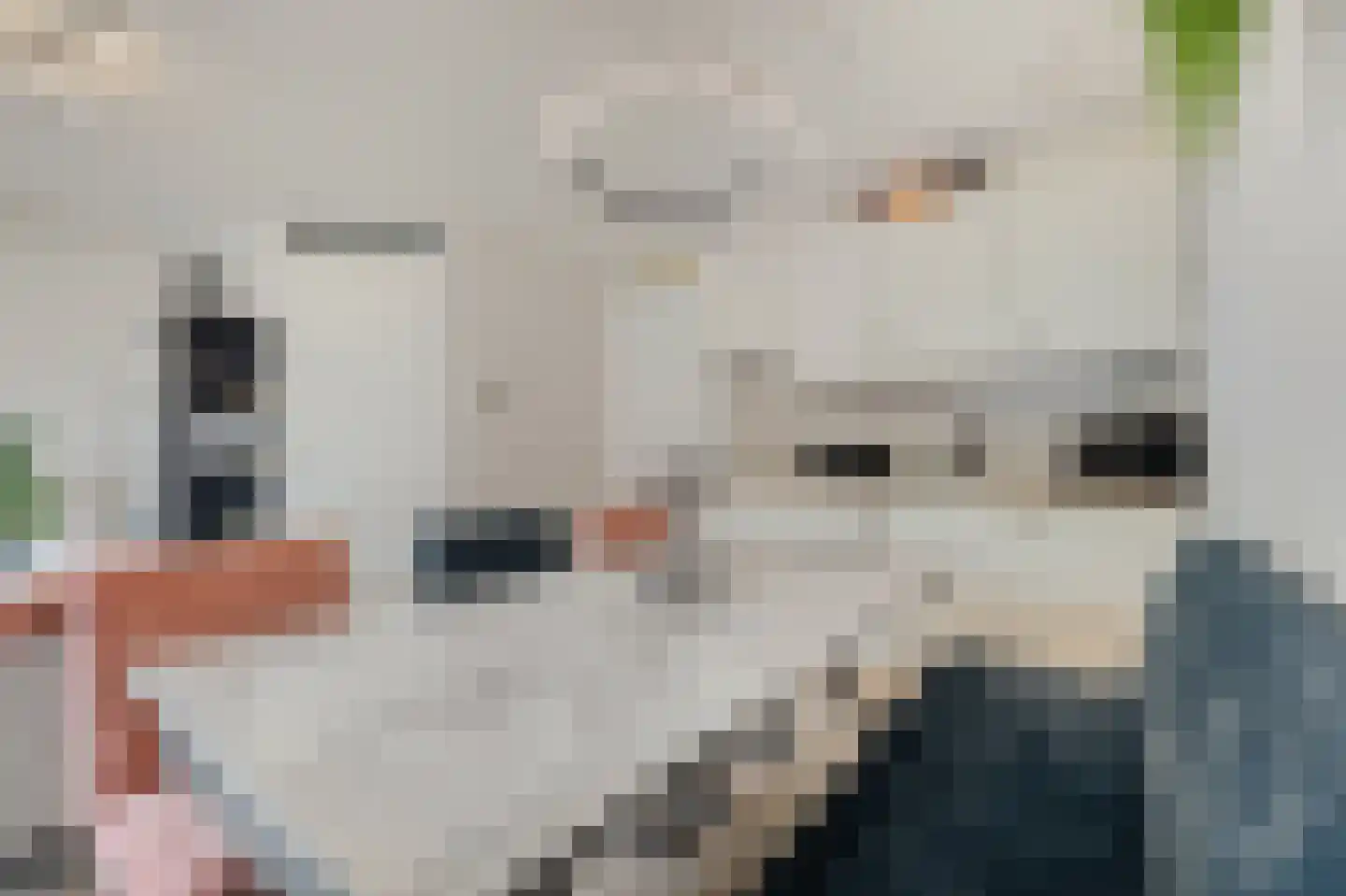 Werfstraat 4 g Wieringerwerf thumbnail 17