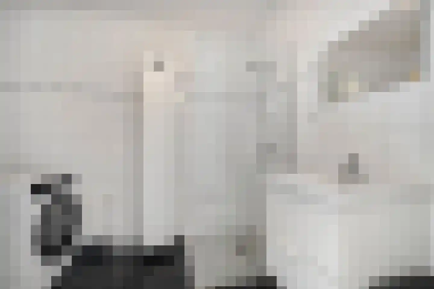 Werfstraat 4 m Wieringerwerf thumbnail 22